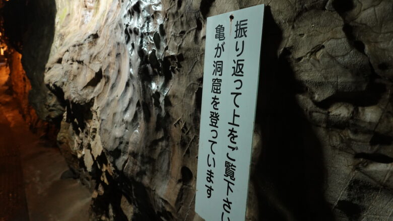 井倉洞の内部にあったメッセージ