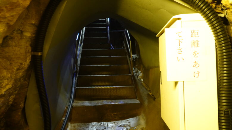 井倉洞内の階段