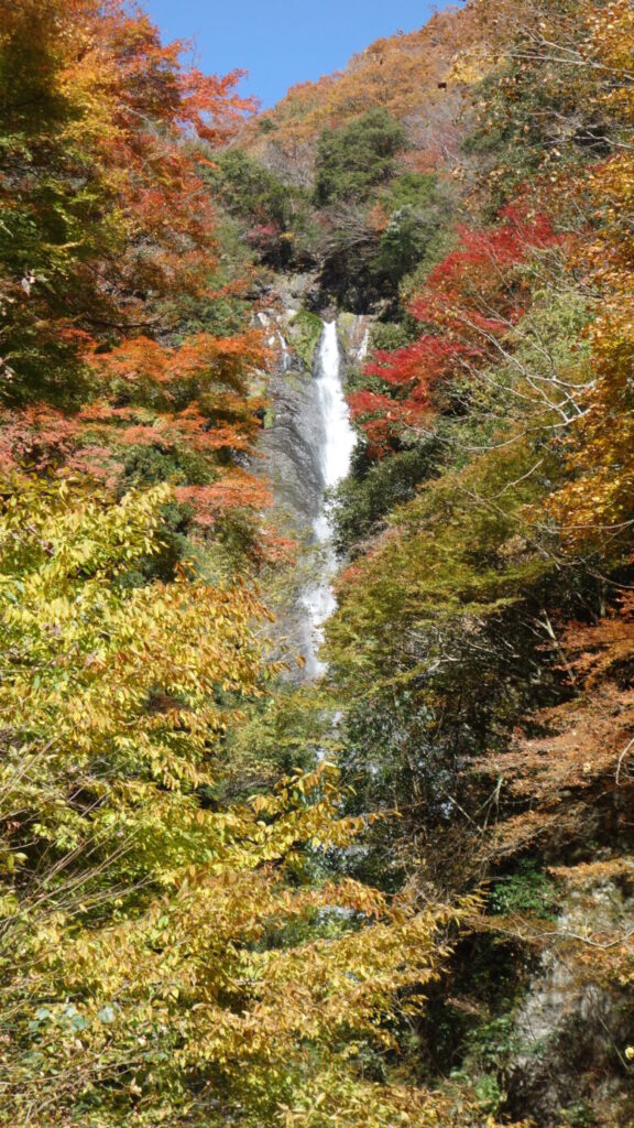 紅葉の時期に見る神庭の滝