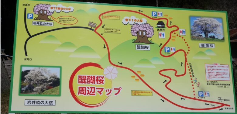 醍醐桜の周辺マップ