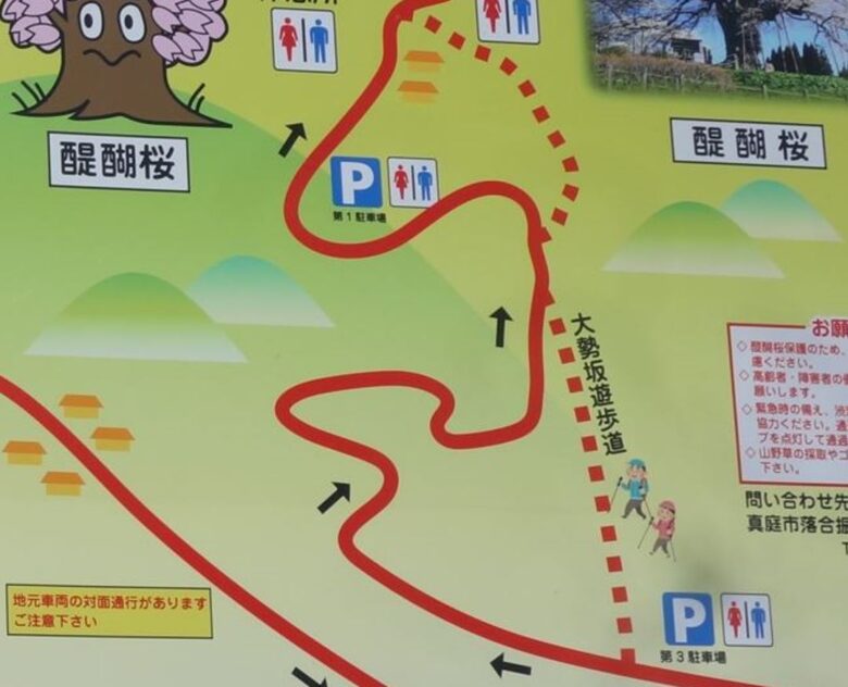 醍醐桜のマップ　遊歩道