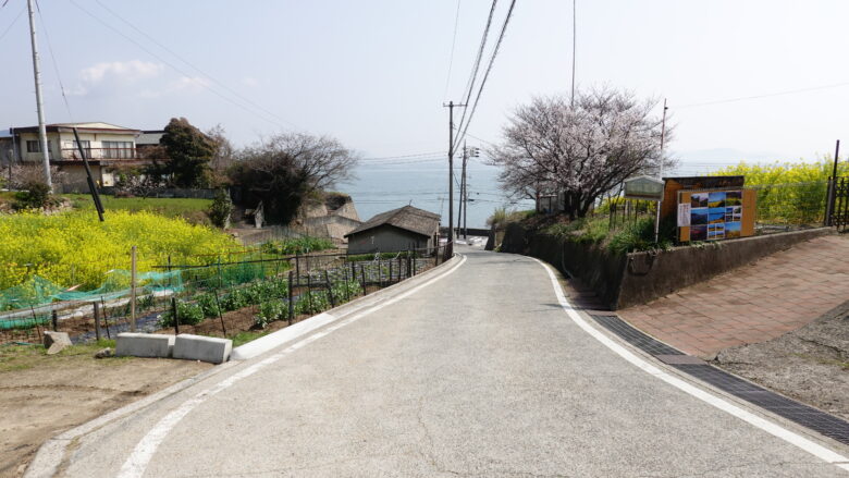 田尻町の菜の花畑へ向かう道