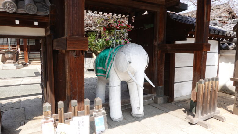 明圓寺の象