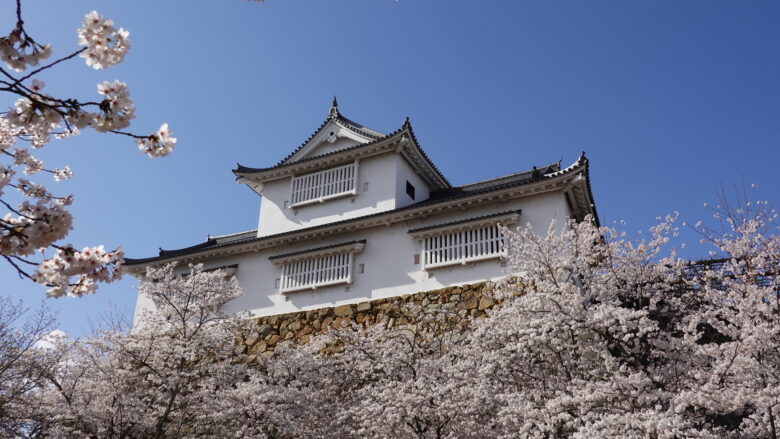 津山城と桜の景観
