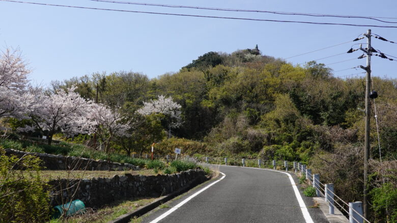桜が美しい山道