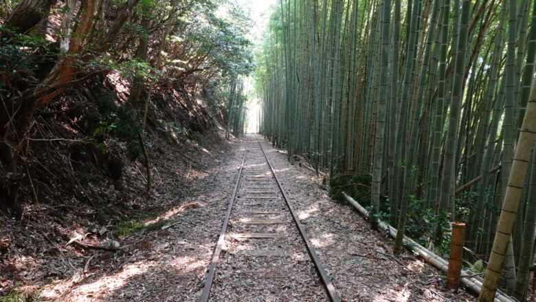 線路跡と竹林の風景