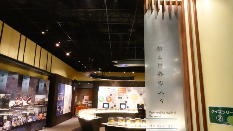 日本と世界の梨の展示ブース