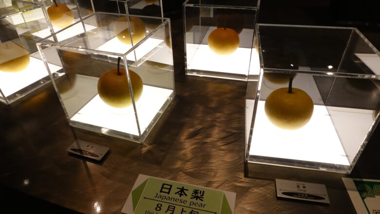 梨の展示物