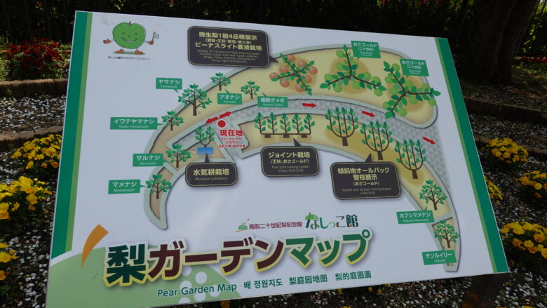 梨ガーデンのマップ