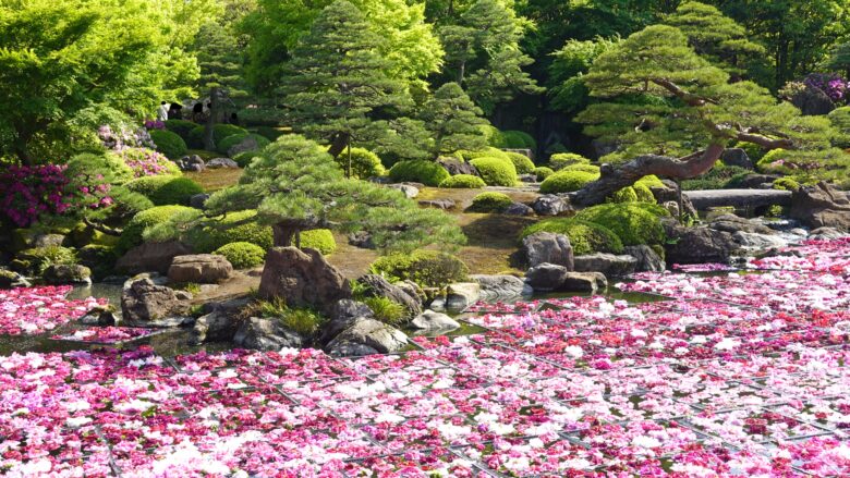 牡丹と日本庭園