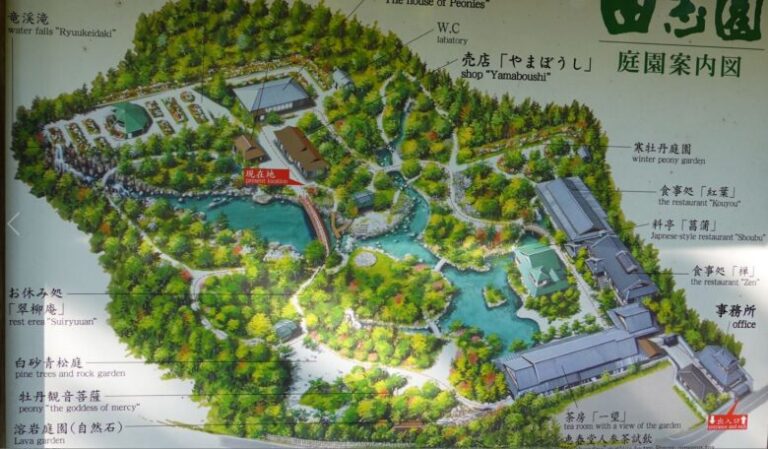 松江市の日本庭園「由志園」を楽しむ、牡丹で埋め尽くす圧巻の景色