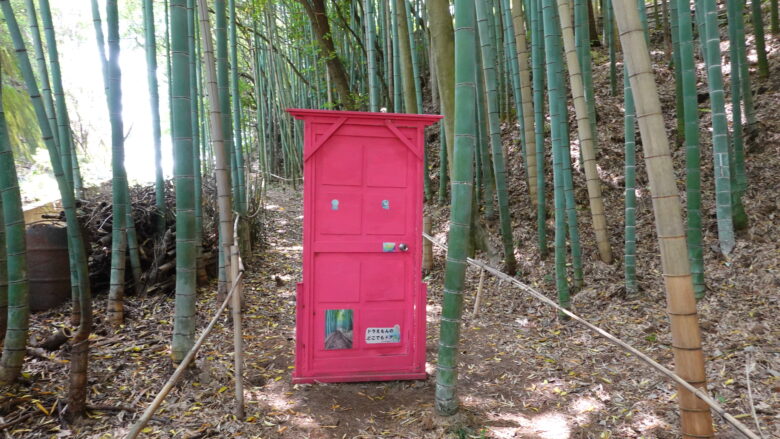 幻想的な竹林に現れたどこでもドア