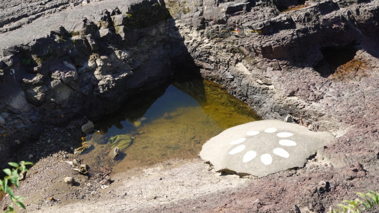 世界最小の恐竜卵化石の発見場所