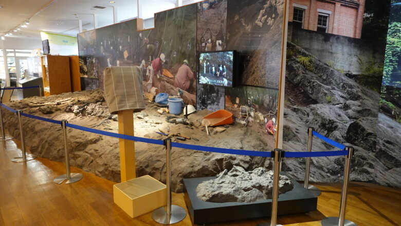丹波竜が発見された発掘現場の再現