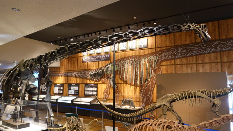 丹波竜の骨格標本