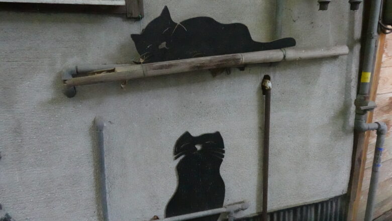 壁に貼りつく黒猫