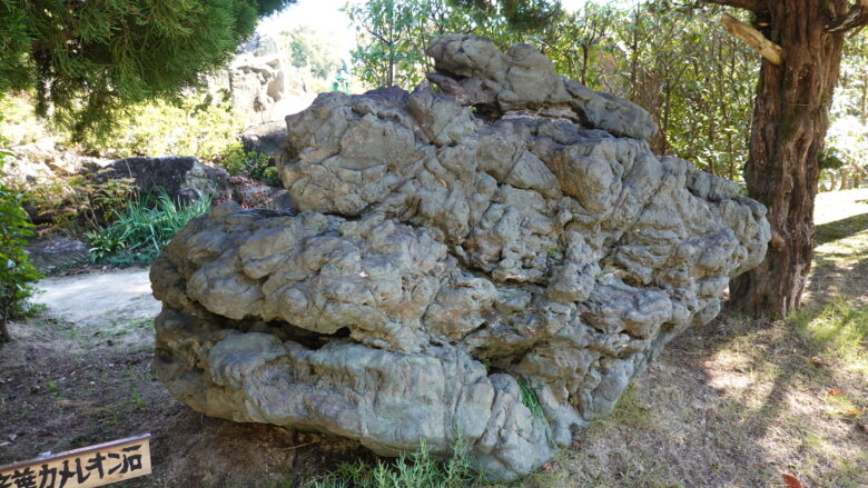カメレオン石