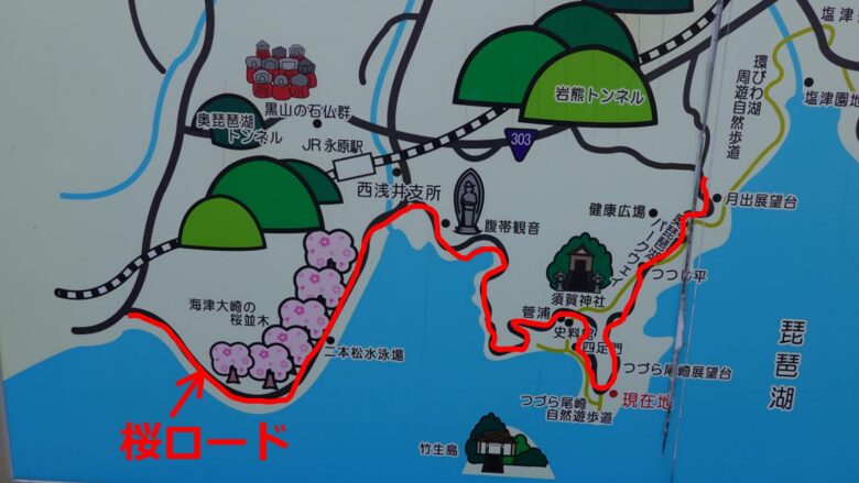 桜ロードの地図