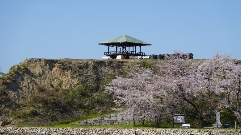 能島の桜