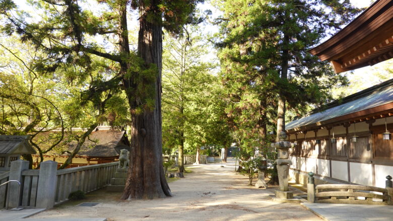 大山祇神社の境内の様子