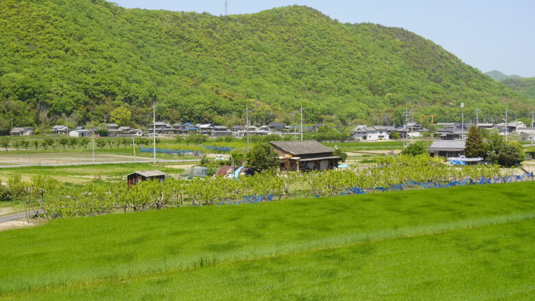 吉井川沿岸の景色