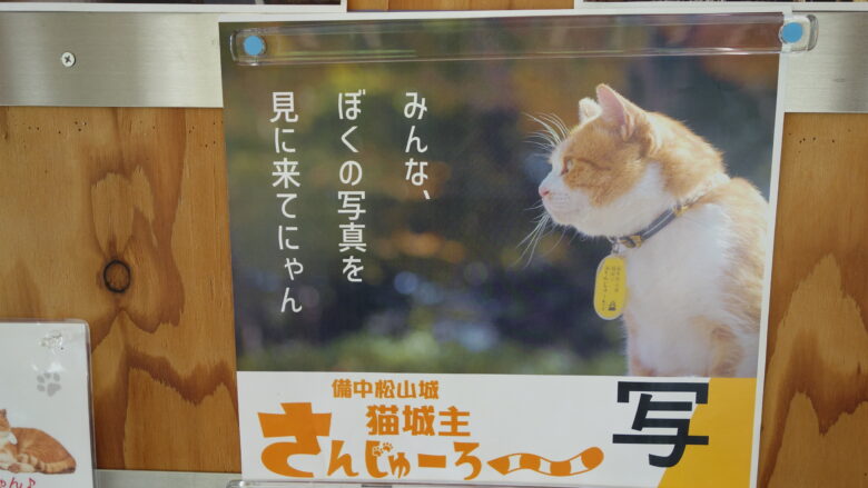 猫城主・さんじゅーろーのポスター