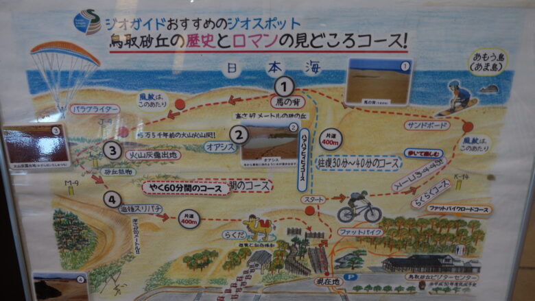 鳥取砂丘のコース情報