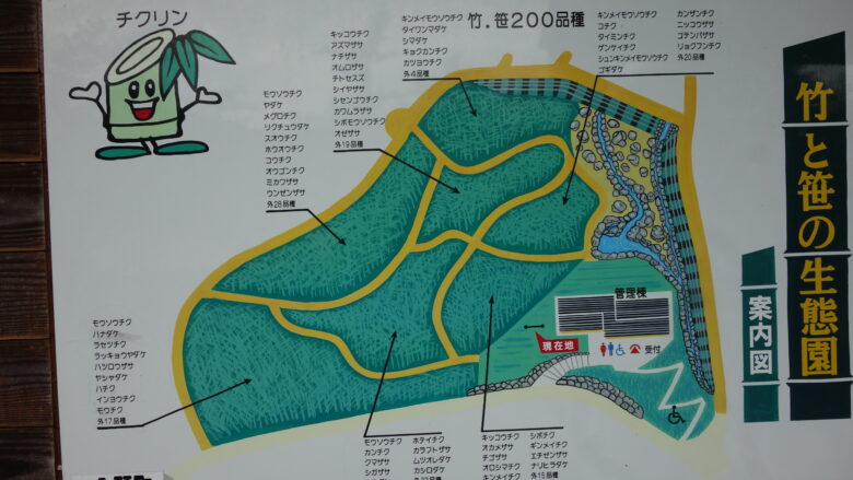 「竹と笹の生態園」の案内図