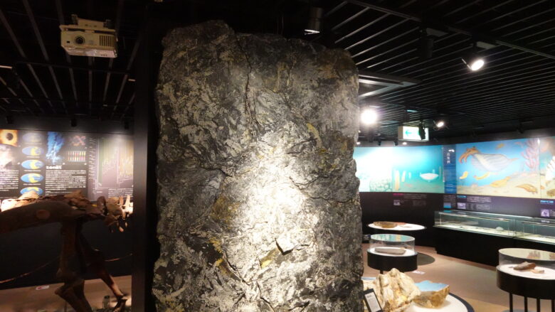 イチョウの化石が見られる石柱