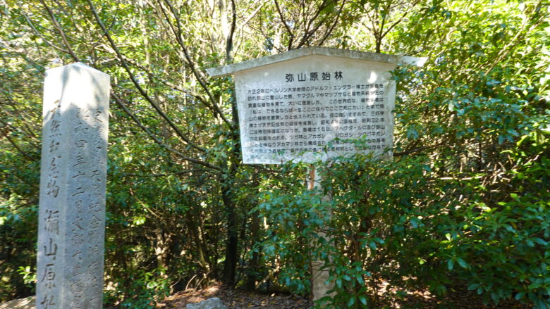 弥山原始林の石碑