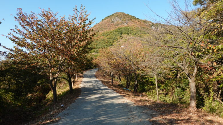 高屋神社（本宮）へ向かう登山道