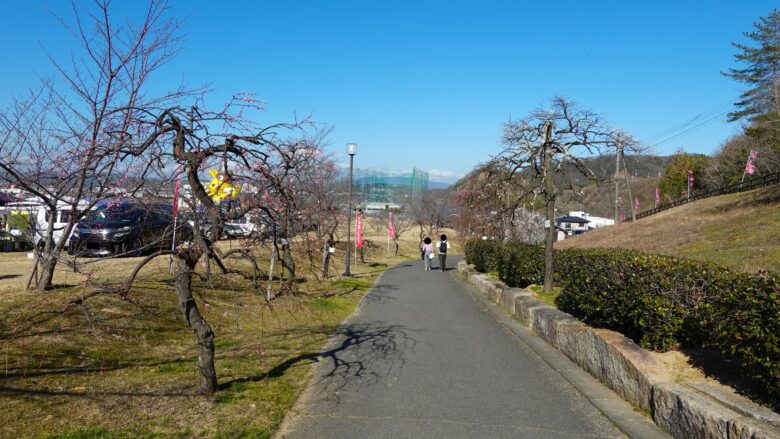 神崎緑地公園の通路