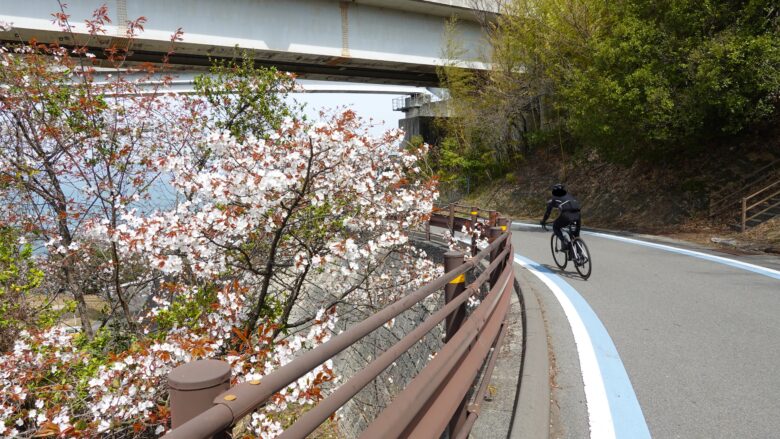 多々羅大橋の歩行者自転車道