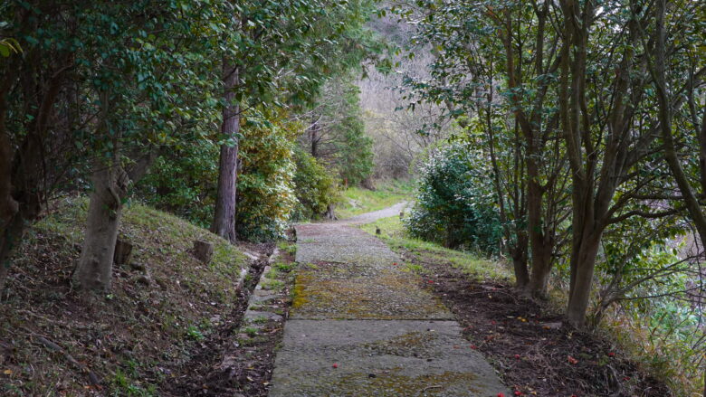 小島の遊歩道