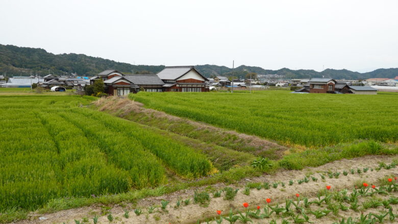 のどかな田舎の風景