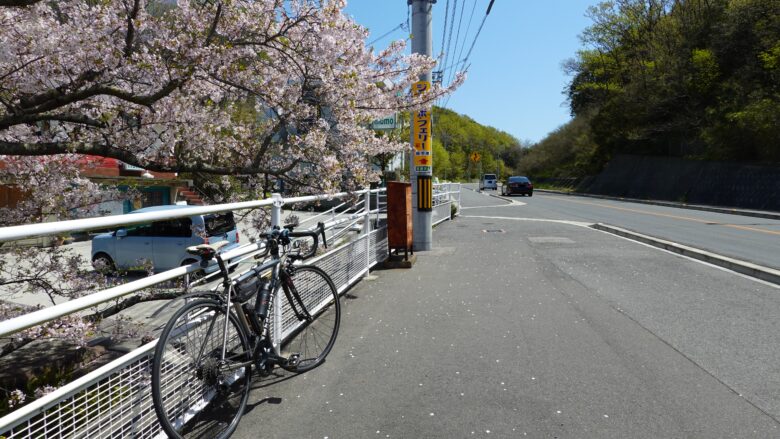 桜が咲く道を走るロードバイク