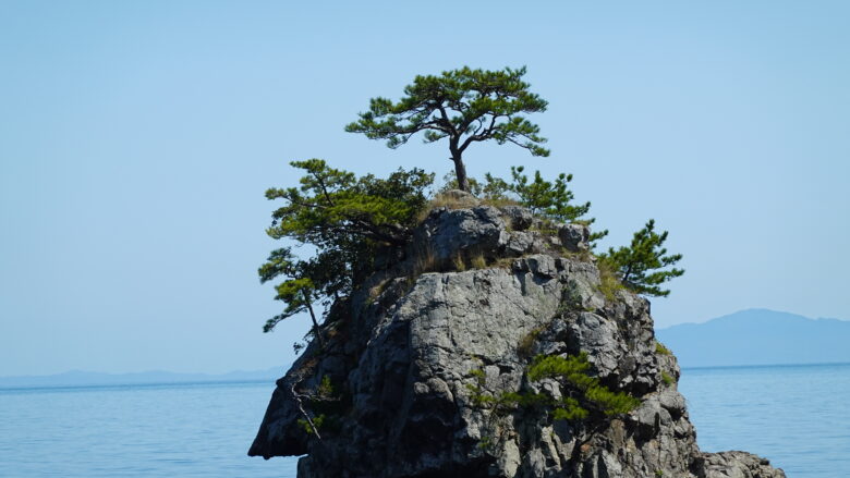 花寿波島の様子（その１）