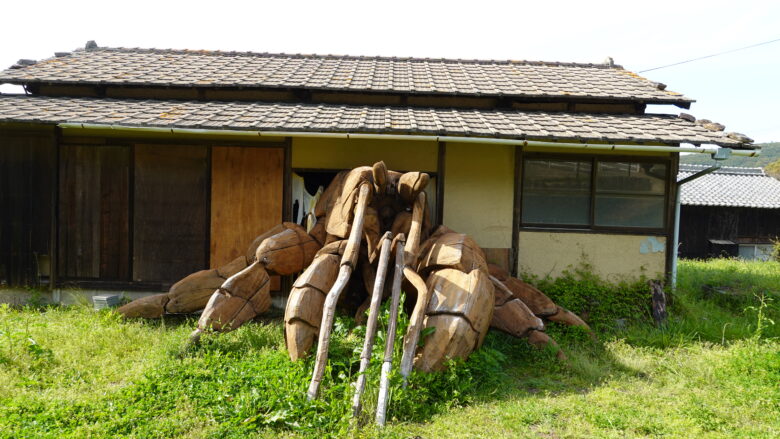 正面から見たヒトクサヤドカリ