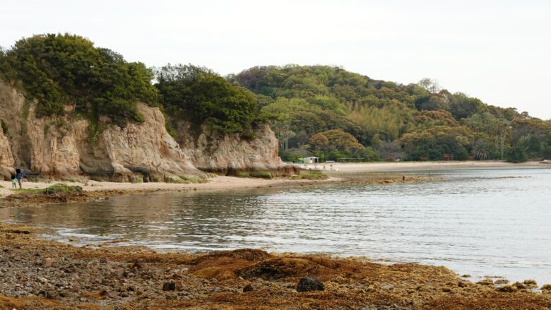 中余島へ向かう道