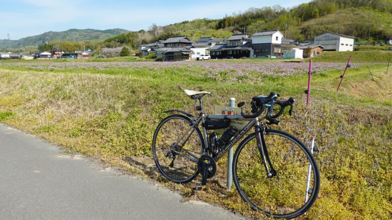 レンゲ畑とロードバイク