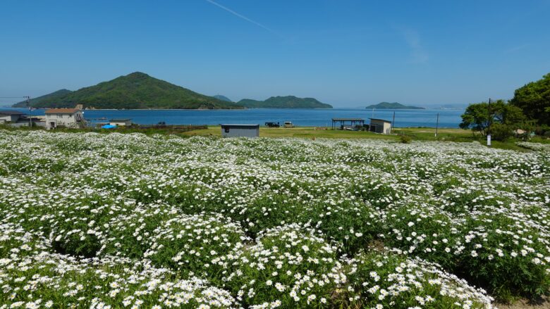 フラワーパーク浦島の景色