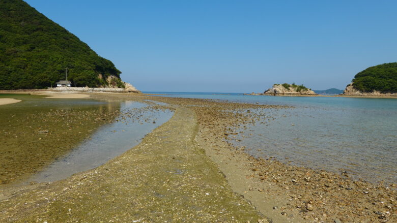 コンクリートでできた歩道