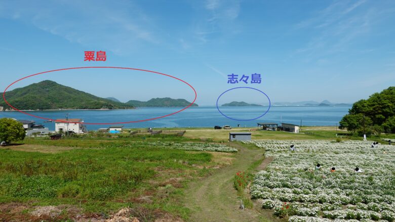 フラワーパーク浦島の眺望