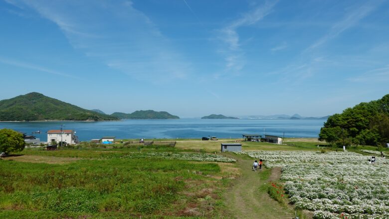 フラワーパーク浦島の駐車場からの眺め