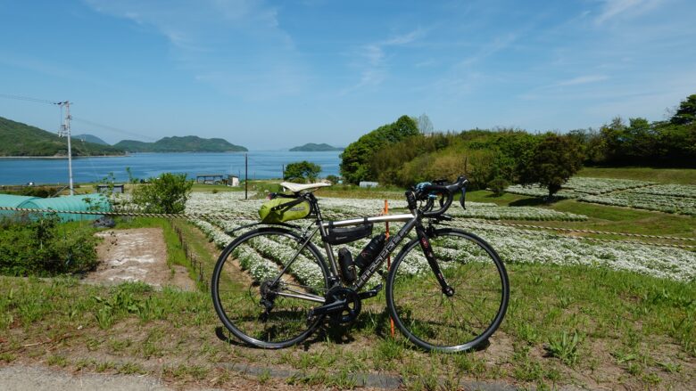 フラワーパーク浦島とロードバイク