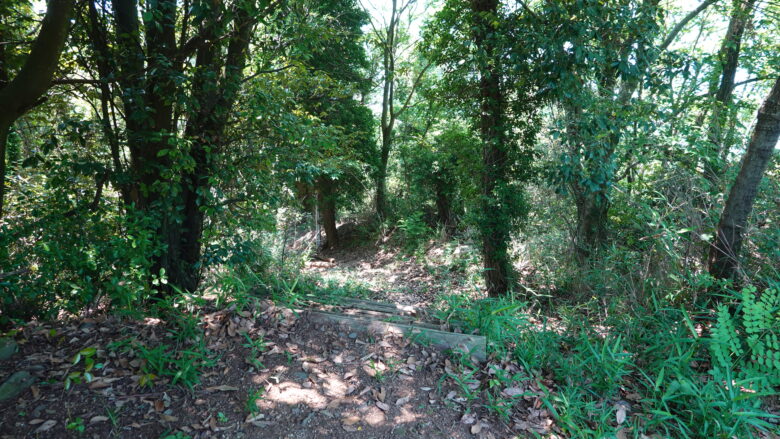 紫雲出山の登山道