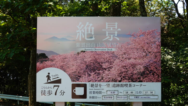 紫雲出山の桜の様子