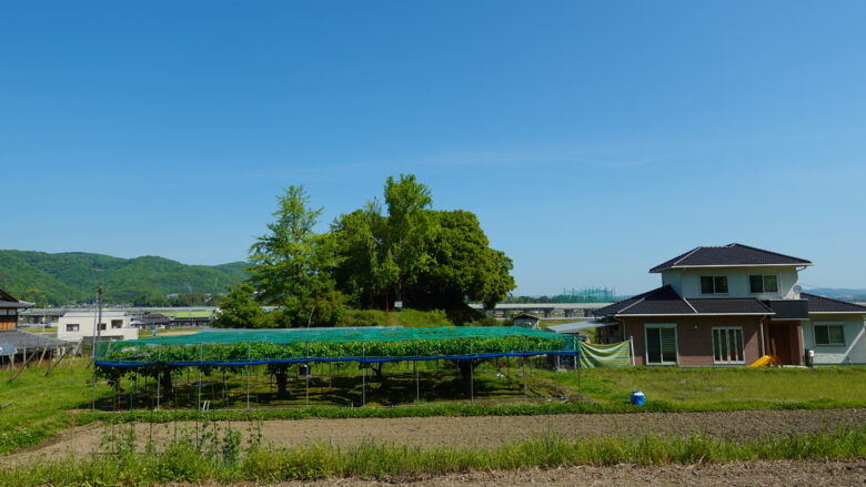 小山古墳