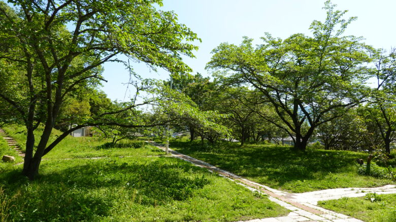 妙泉寺跡