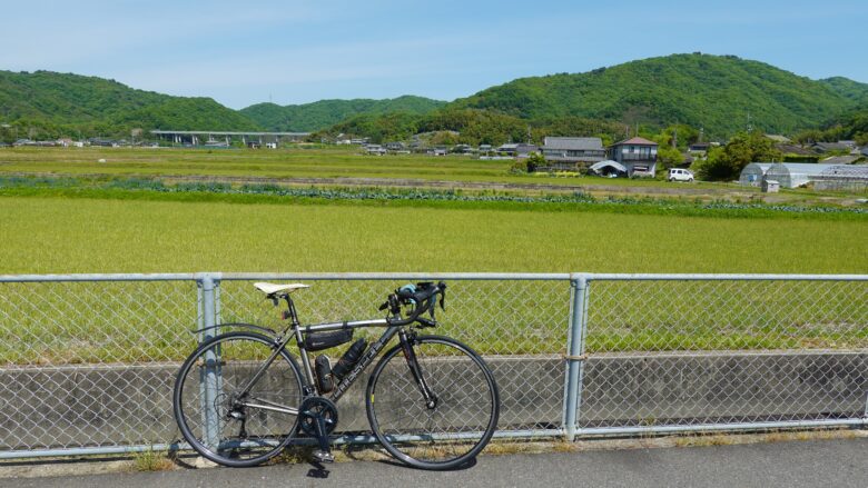 自転車で走りながらのどかな風景を眺める